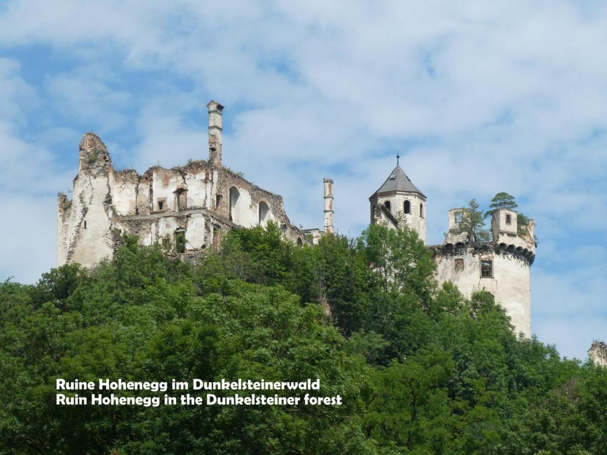 Gastehaus Am Weinberg - Schlager Appartement Prinzersdorf Buitenkant foto